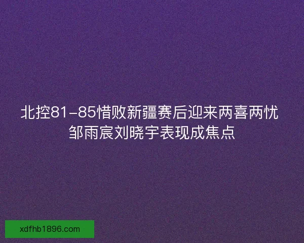 北控81-85惜败新疆赛后迎来两喜两忧 邹雨宸刘晓宇表现成焦点