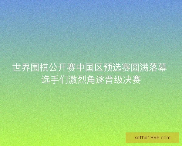 世界围棋公开赛中国区预选赛圆满落幕 选手们激烈角逐晋级决赛